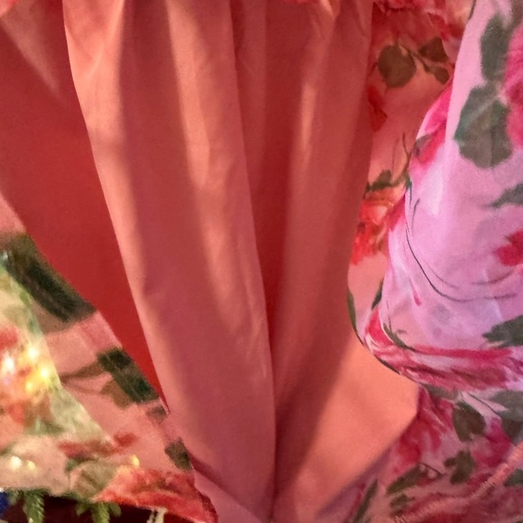 Pink and Floral Print 3/4 Sleeve Organza Mini Dress - Picture 4 of 6